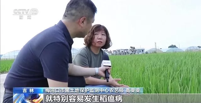 持续暴雨致吉林多地农田受灾 当地全力恢复农业生产