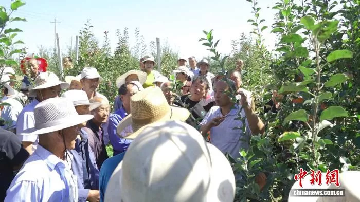 图为科技指导种出好苹果的培训现场。(资料图)谢正民 摄