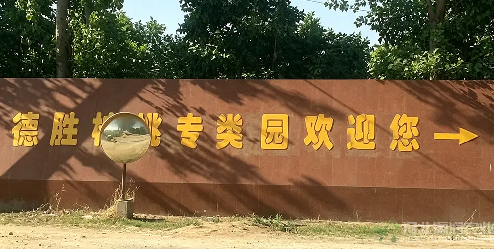 河北省定州市丁周四德胜核桃专类园千亩水肥